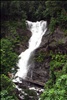 Kadambi Waterfalls